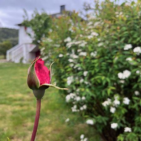 A Casina Casa Rural En Galicia Оренсе Екстер'єр фото