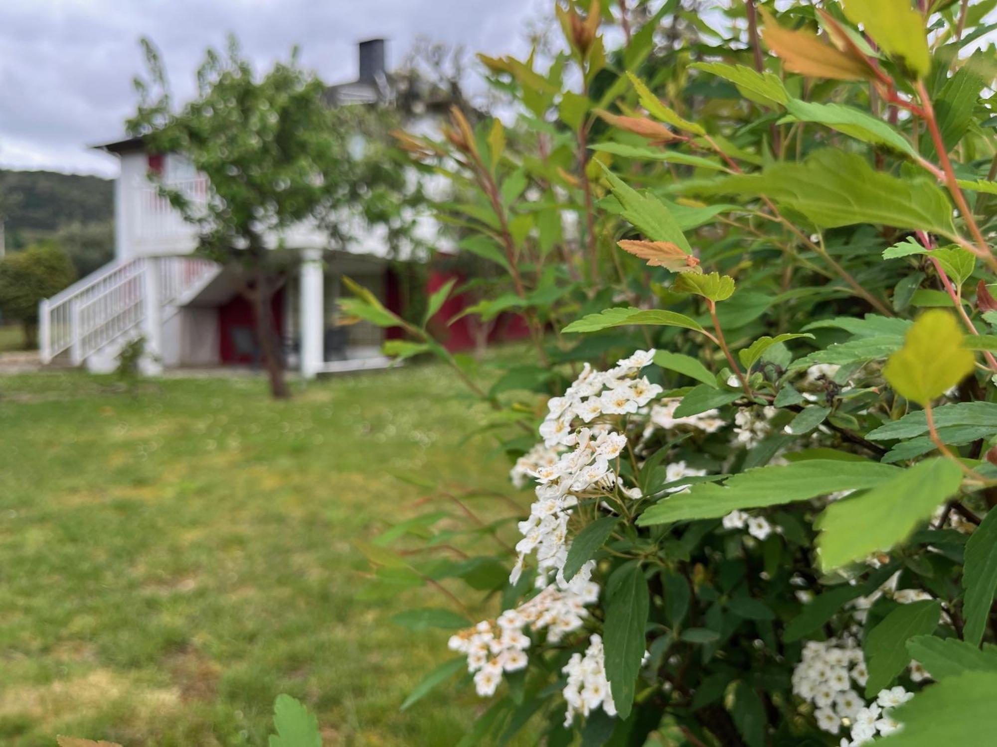 A Casina Casa Rural En Galicia Оренсе Екстер'єр фото